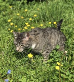 Tagesgruppe Storchennest