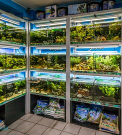 Zündorfer Aquaristik