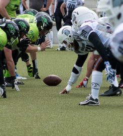 BLACKVENOM American Football Club Wesseling
