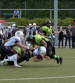 BLACKVENOM American Football Club Wesseling