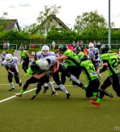 BLACKVENOM American Football Club Wesseling