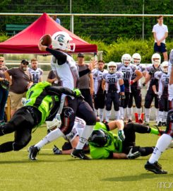 BLACKVENOM American Football Club Wesseling