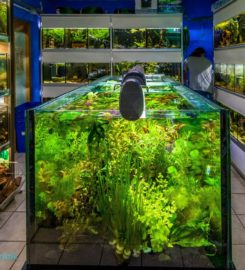 Zündorfer Aquaristik