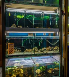 Zündorfer Aquaristik