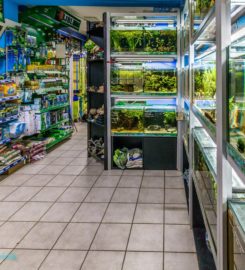 Zündorfer Aquaristik