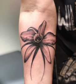 Freywerk Tattoostudio