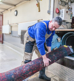 Teppichwäscherei Heyduck