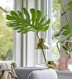 nice & nordic – online