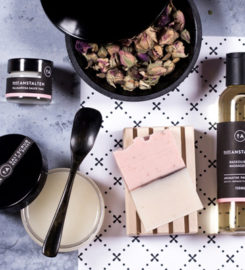 nice & nordic – online